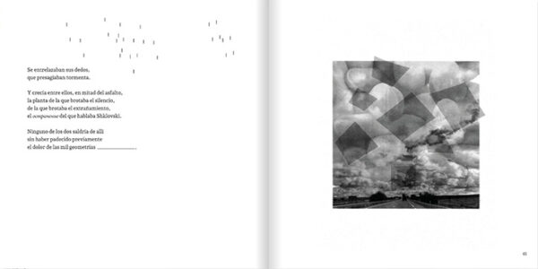 10 Las portadas de los libros nunca escritos