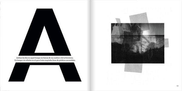 12 Las portadas de los libros nunca escritos