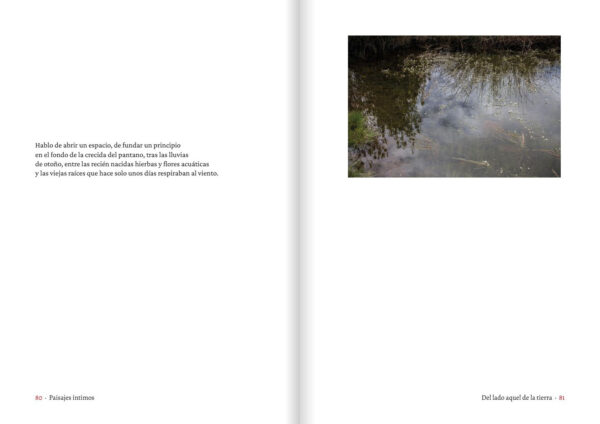 Paisajes íntimos